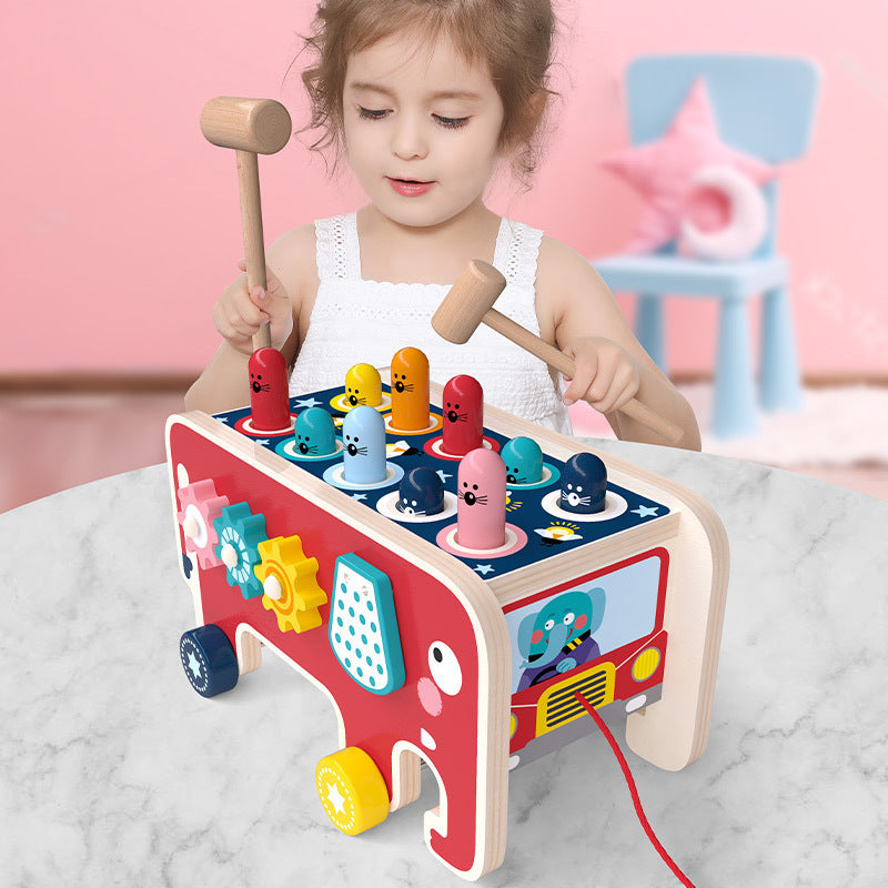 Montessori Early Educational Toys