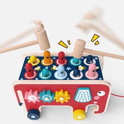 Montessori Early Educational Toys